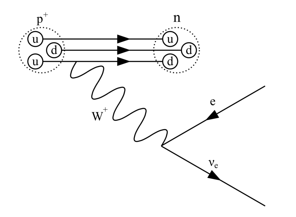 p5 (4)