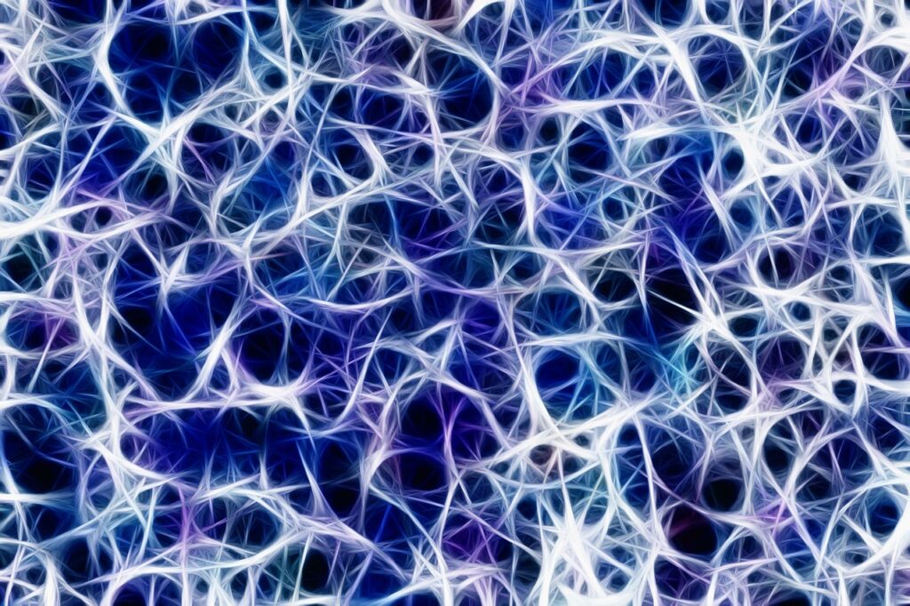 annoy, network, nervous system, management, connections, nerve plexus, brain, stimulus transmission control center, steering, neurons, synapse, signal, pulse, excitement, braid, nerve cord, anatomy, nervous system, nervous system, nervous system, nervous system, brain, brain, brain, brain, brain, neurons, neurons, neurons, synapse